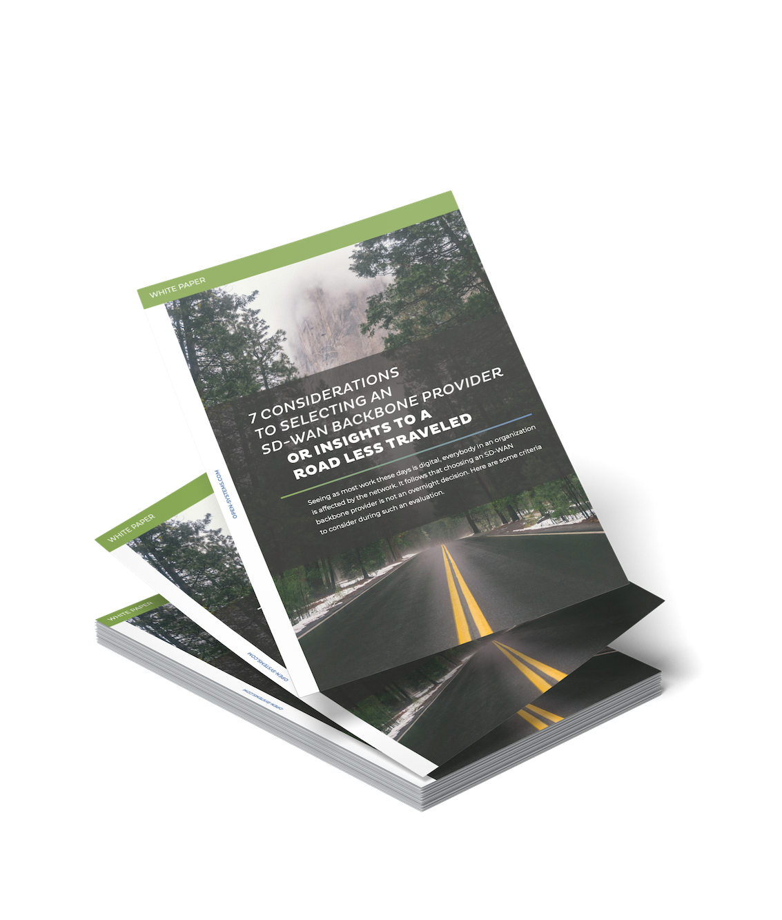 White paper: 7 criterios para elegir un proveedor de backbone SD-WAN