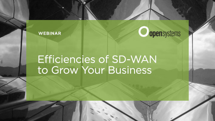 Efficiencies of SD-WAN to Grow Your Business